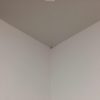 天井のカビ掃除！壁紙（ビニールクロス）の頑固なカビを除去した方法